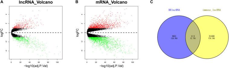 https://cdn.ncbi.nlm.nih.gov/pmc/blobs/19e9/7969885/d8a9ad779e21/fcell-09-641960-g001.jpg
