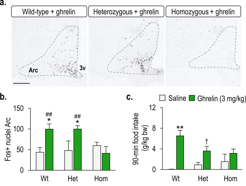 https://cdn.ncbi.nlm.nih.gov/pmc/blobs/19eb/8102639/29725f856b6b/gr4.jpg