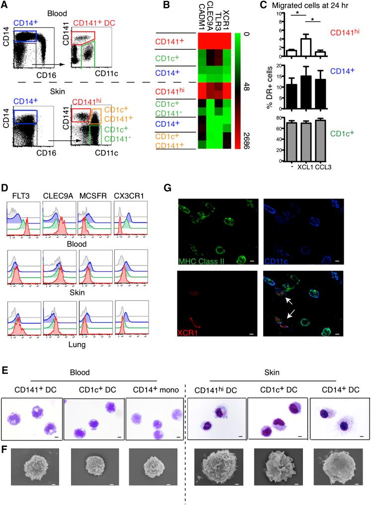 https://cdn.ncbi.nlm.nih.gov/pmc/blobs/19ed/3476529/49fa1e426a1b/gr2.jpg
