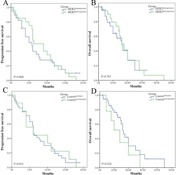https://cdn.ncbi.nlm.nih.gov/pmc/blobs/19ed/5464860/67eef4e62fe9/oncotarget-08-33185-g001.jpg