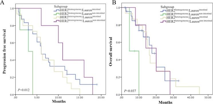 https://cdn.ncbi.nlm.nih.gov/pmc/blobs/19ed/5464860/e7921efc0ba9/oncotarget-08-33185-g003.jpg