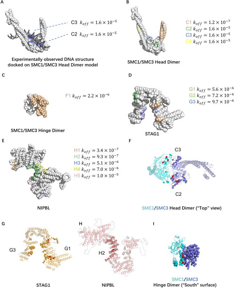 https://cdn.ncbi.nlm.nih.gov/pmc/blobs/19ee/11970657/2e3a2ec7fa62/pcbi.1012493.g004.jpg