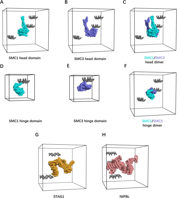 https://cdn.ncbi.nlm.nih.gov/pmc/blobs/19ee/11970657/e75b49f43c11/pcbi.1012493.g002.jpg