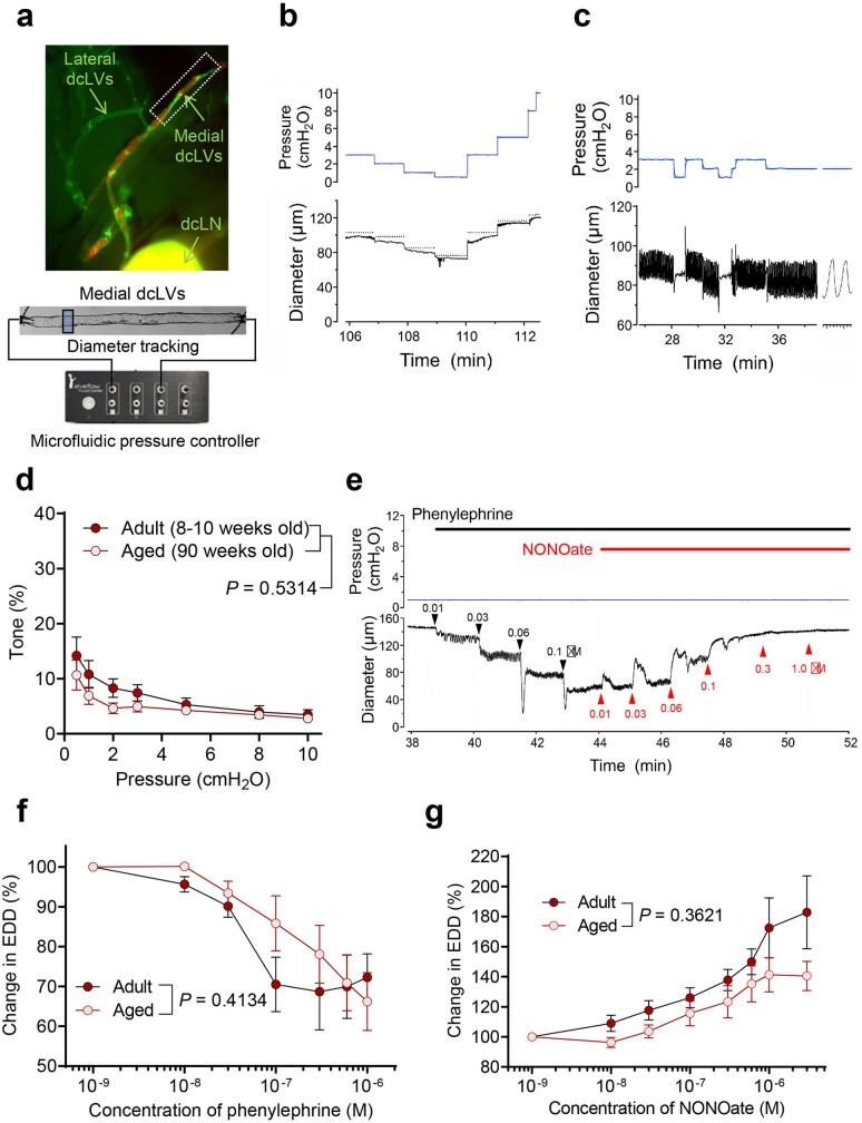 https://cdn.ncbi.nlm.nih.gov/pmc/blobs/19f5/10808075/318ff6c18a1e/41586_2023_6899_Fig19_ESM.jpg