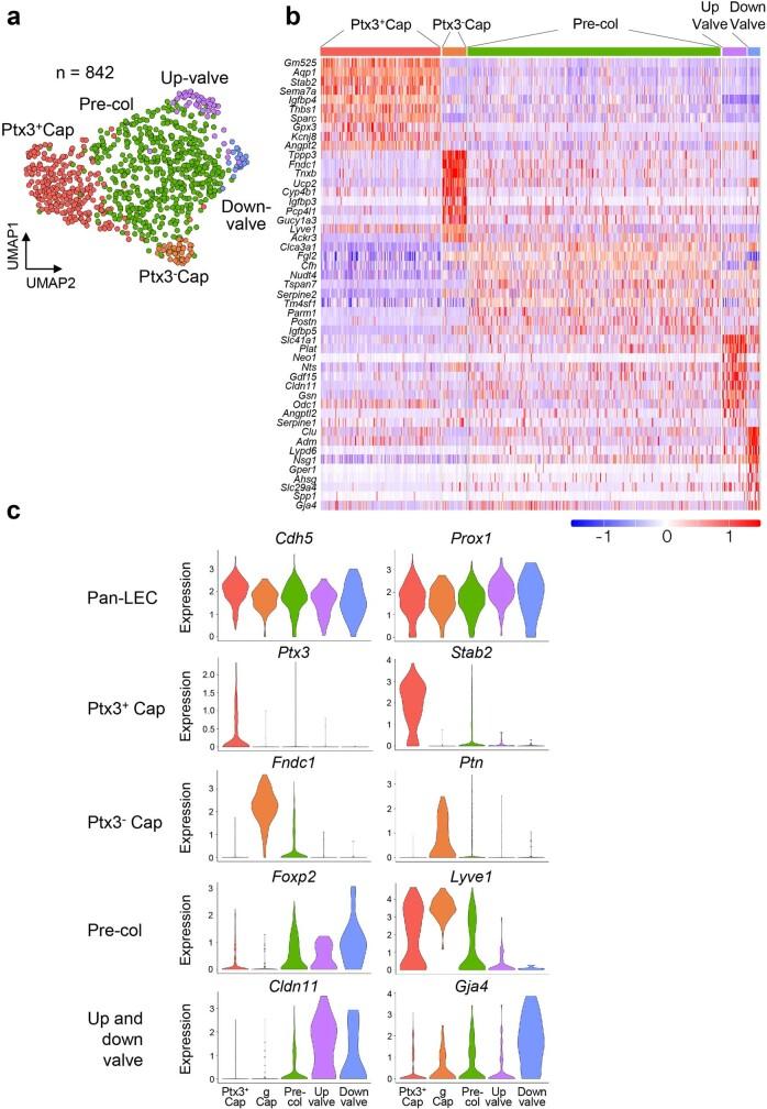 https://cdn.ncbi.nlm.nih.gov/pmc/blobs/19f5/10808075/36eb0d2888b0/41586_2023_6899_Fig20_ESM.jpg