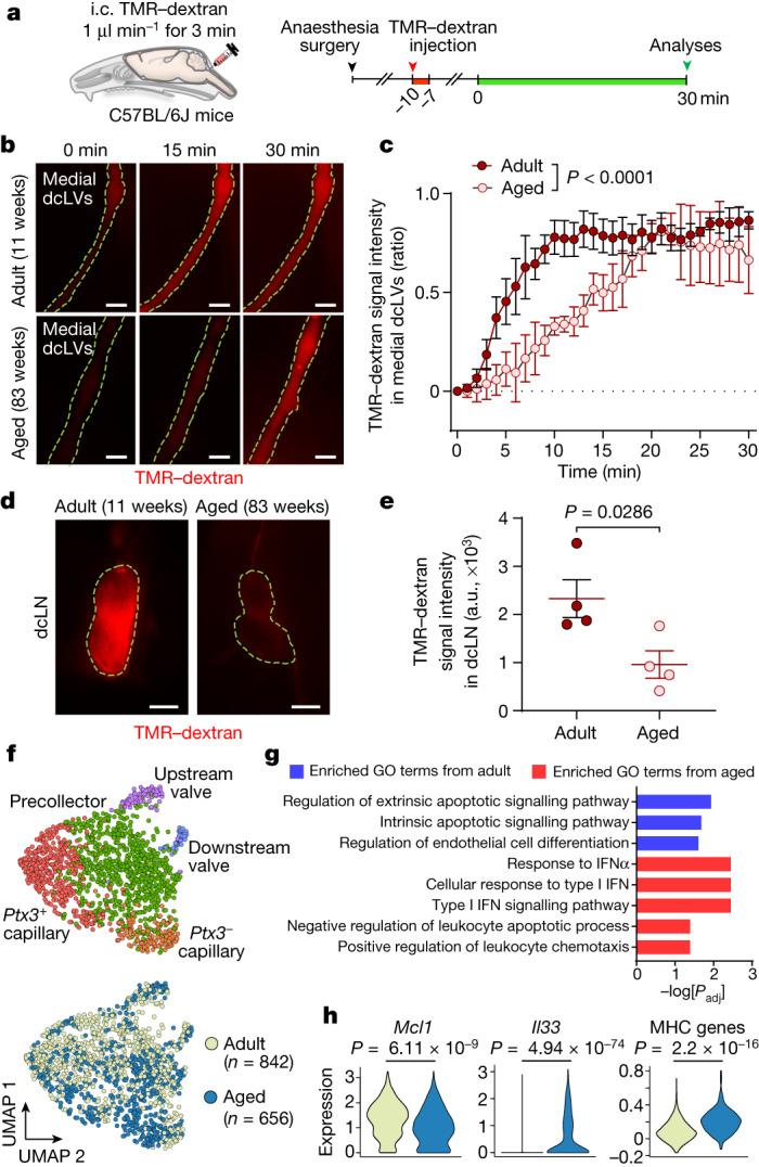 https://cdn.ncbi.nlm.nih.gov/pmc/blobs/19f5/10808075/684666c09f00/41586_2023_6899_Fig7_HTML.jpg