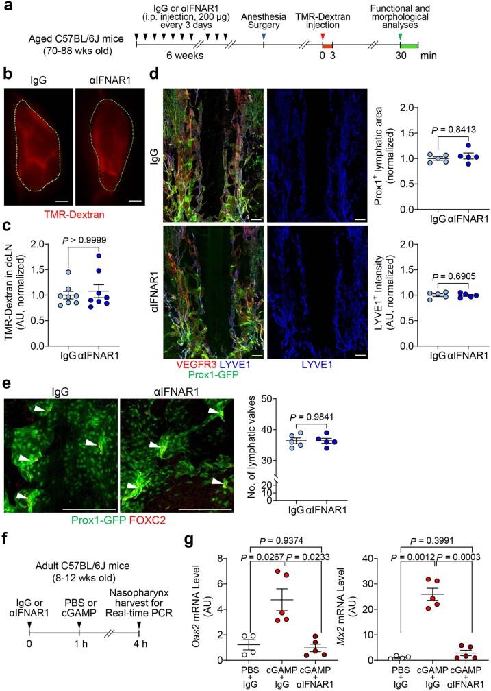 https://cdn.ncbi.nlm.nih.gov/pmc/blobs/19f5/10808075/6fab0629c97f/41586_2023_6899_Fig22_ESM.jpg