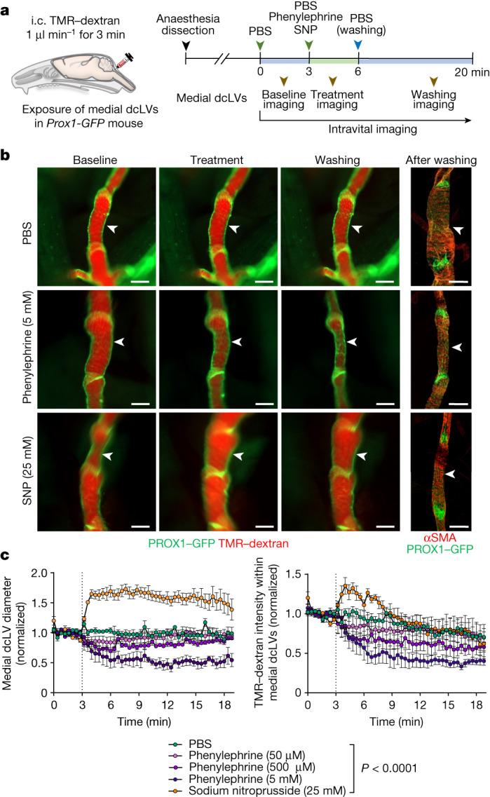 https://cdn.ncbi.nlm.nih.gov/pmc/blobs/19f5/10808075/74d5de4777f9/41586_2023_6899_Fig5_HTML.jpg