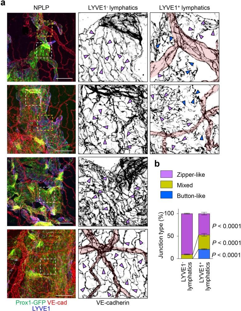 https://cdn.ncbi.nlm.nih.gov/pmc/blobs/19f5/10808075/b0c449c1c8d7/41586_2023_6899_Fig10_ESM.jpg