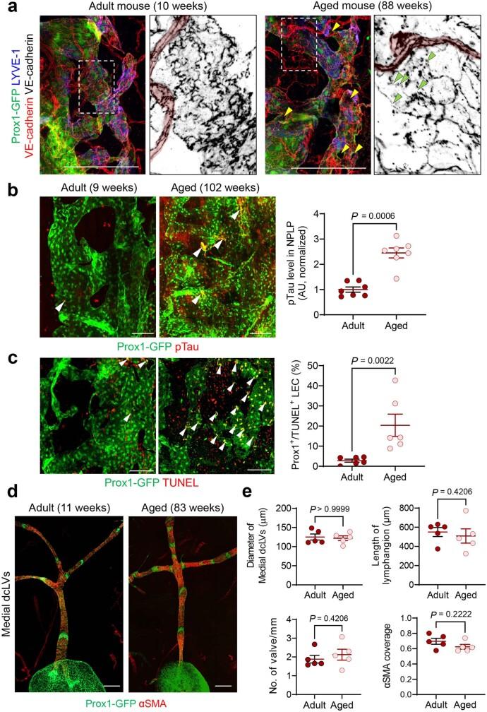 https://cdn.ncbi.nlm.nih.gov/pmc/blobs/19f5/10808075/ba1dd7be857e/41586_2023_6899_Fig17_ESM.jpg