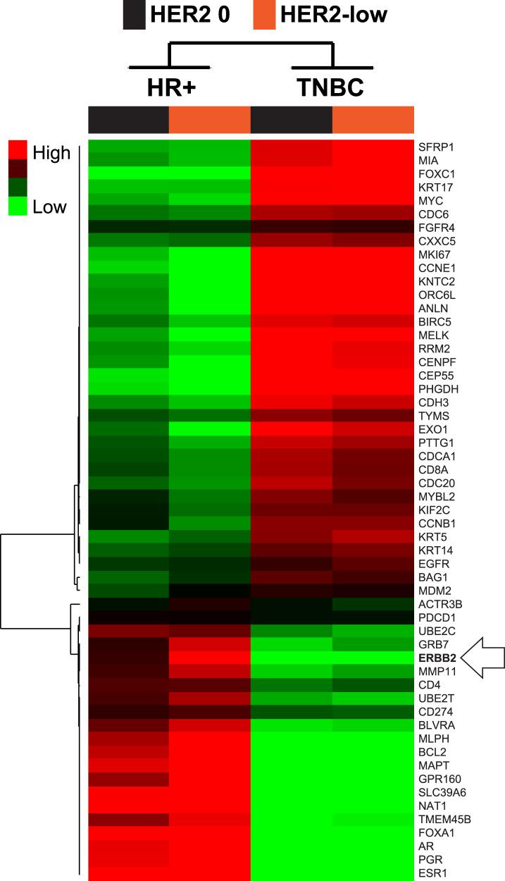 https://cdn.ncbi.nlm.nih.gov/pmc/blobs/19fa/7782714/d4e232bf75e6/41523_2020_208_Fig4_HTML.jpg