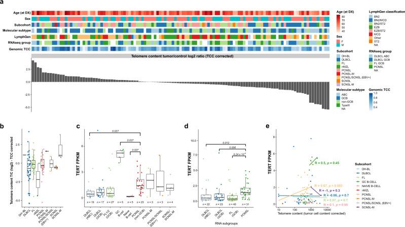 https://cdn.ncbi.nlm.nih.gov/pmc/blobs/19fa/9091224/a9ce5405544d/41467_2022_30050_Fig8_HTML.jpg