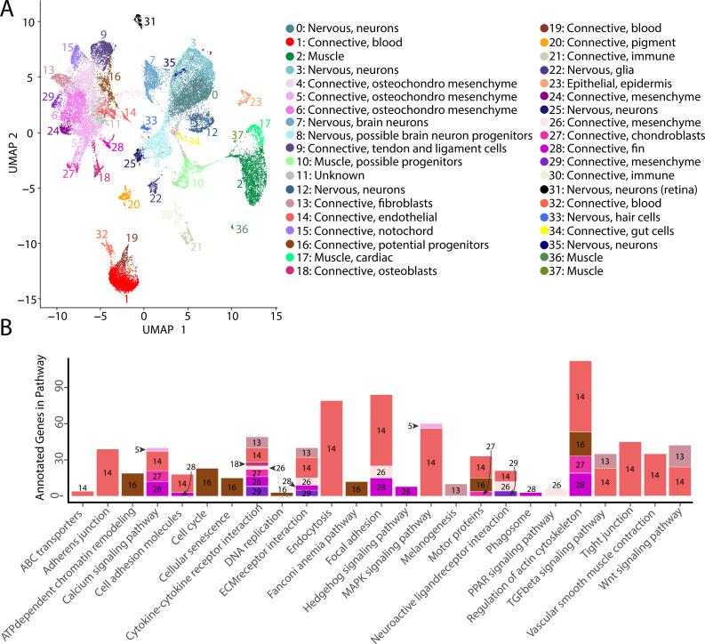 https://cdn.ncbi.nlm.nih.gov/pmc/blobs/19fb/11790252/03f48ffa5455/elife-97764-fig2.jpg