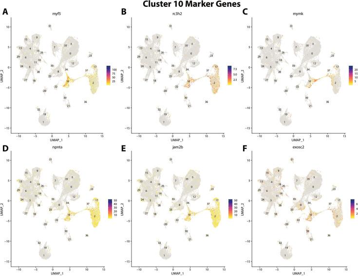 https://cdn.ncbi.nlm.nih.gov/pmc/blobs/19fb/11790252/0d20cec85c13/elife-97764-fig2-figsupp32.jpg