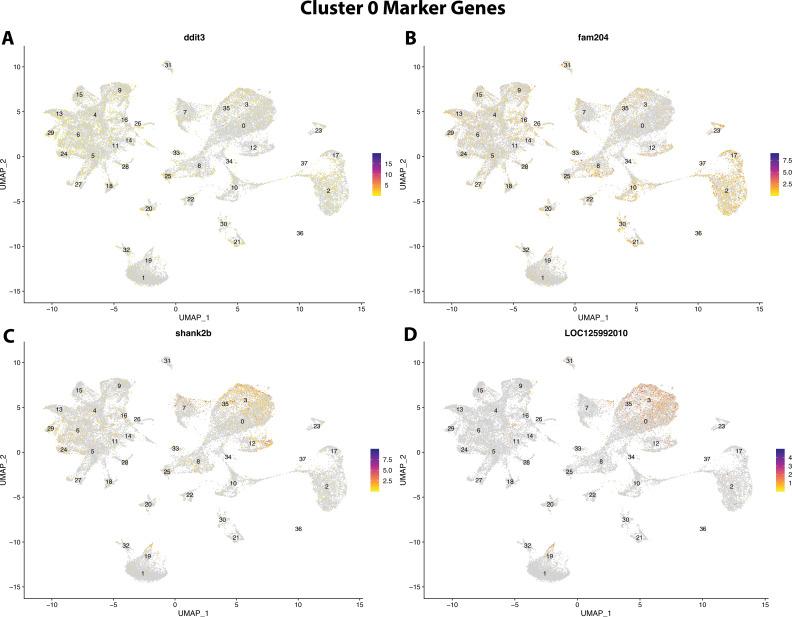 https://cdn.ncbi.nlm.nih.gov/pmc/blobs/19fb/11790252/11f7b975f82d/elife-97764-fig2-figsupp22.jpg