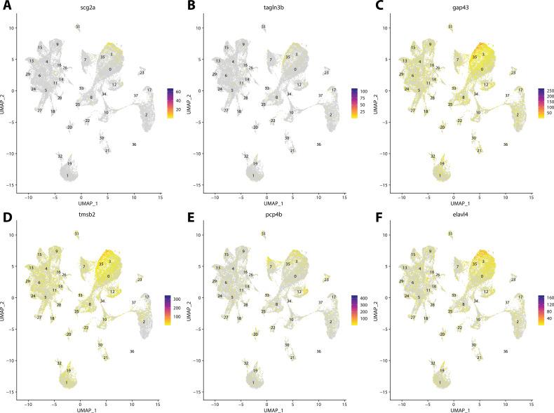 https://cdn.ncbi.nlm.nih.gov/pmc/blobs/19fb/11790252/130b907acbbe/elife-97764-fig2-figsupp25.jpg