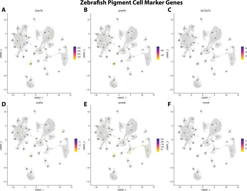 https://cdn.ncbi.nlm.nih.gov/pmc/blobs/19fb/11790252/15c36439e618/elife-97764-fig2-figsupp20.jpg