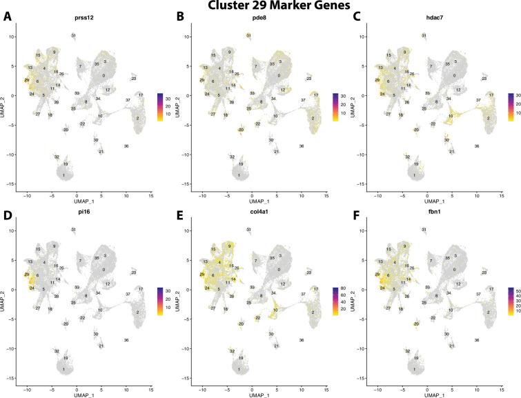 https://cdn.ncbi.nlm.nih.gov/pmc/blobs/19fb/11790252/1b0a1f884b8e/elife-97764-fig2-figsupp50.jpg