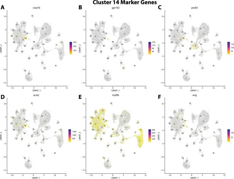 https://cdn.ncbi.nlm.nih.gov/pmc/blobs/19fb/11790252/1eb607f1f3e4/elife-97764-fig2-figsupp35.jpg