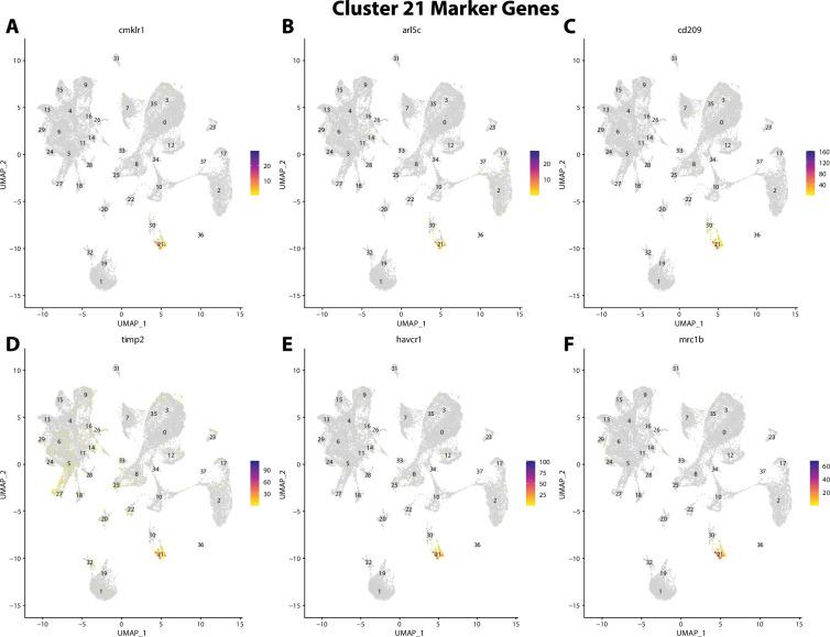 https://cdn.ncbi.nlm.nih.gov/pmc/blobs/19fb/11790252/21ebf56351d1/elife-97764-fig2-figsupp42.jpg