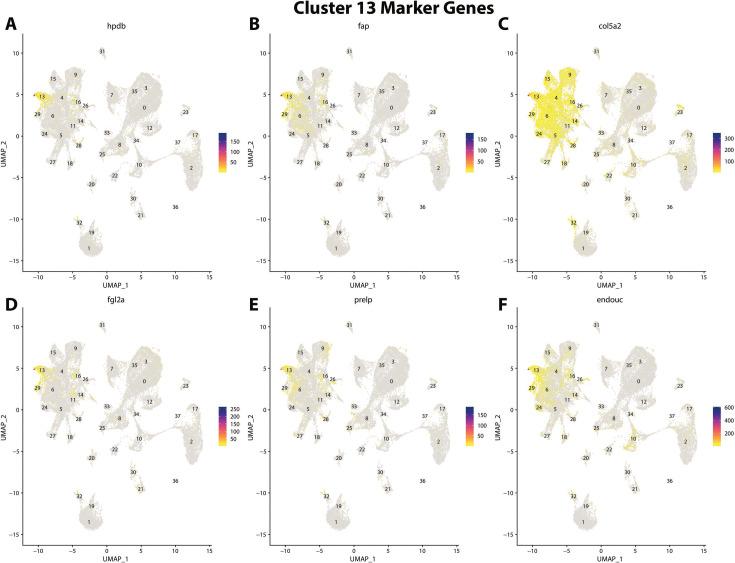 https://cdn.ncbi.nlm.nih.gov/pmc/blobs/19fb/11790252/2728842ac814/elife-97764-fig2-figsupp34.jpg