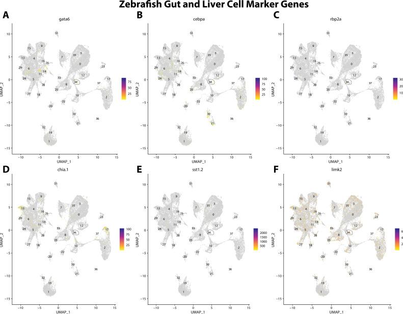 https://cdn.ncbi.nlm.nih.gov/pmc/blobs/19fb/11790252/2b549f8f555a/elife-97764-fig2-figsupp16.jpg