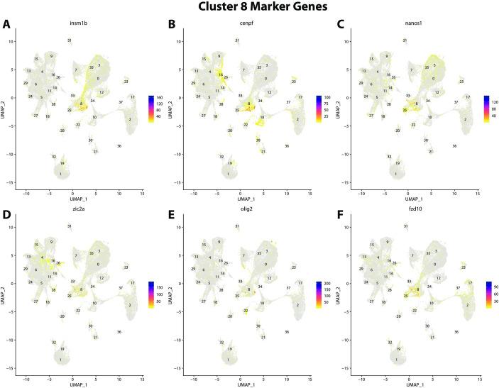https://cdn.ncbi.nlm.nih.gov/pmc/blobs/19fb/11790252/302cdc6bcca7/elife-97764-fig2-figsupp30.jpg