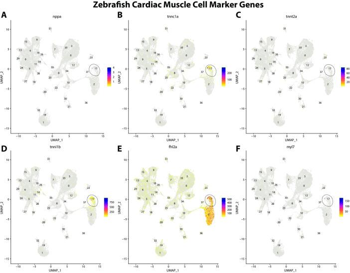 https://cdn.ncbi.nlm.nih.gov/pmc/blobs/19fb/11790252/3c169bda10a8/elife-97764-fig2-figsupp5.jpg