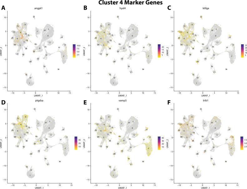 https://cdn.ncbi.nlm.nih.gov/pmc/blobs/19fb/11790252/3e91223f60f9/elife-97764-fig2-figsupp26.jpg