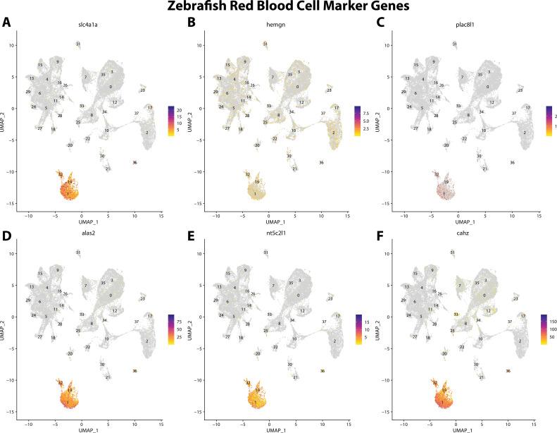 https://cdn.ncbi.nlm.nih.gov/pmc/blobs/19fb/11790252/3ea6b9cea598/elife-97764-fig2-figsupp14.jpg
