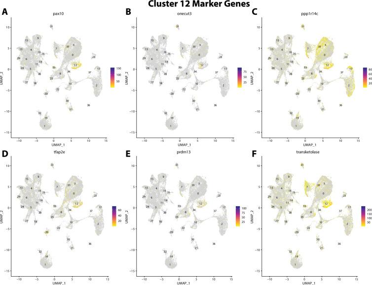 https://cdn.ncbi.nlm.nih.gov/pmc/blobs/19fb/11790252/41e0a43e9ed4/elife-97764-fig2-figsupp33.jpg