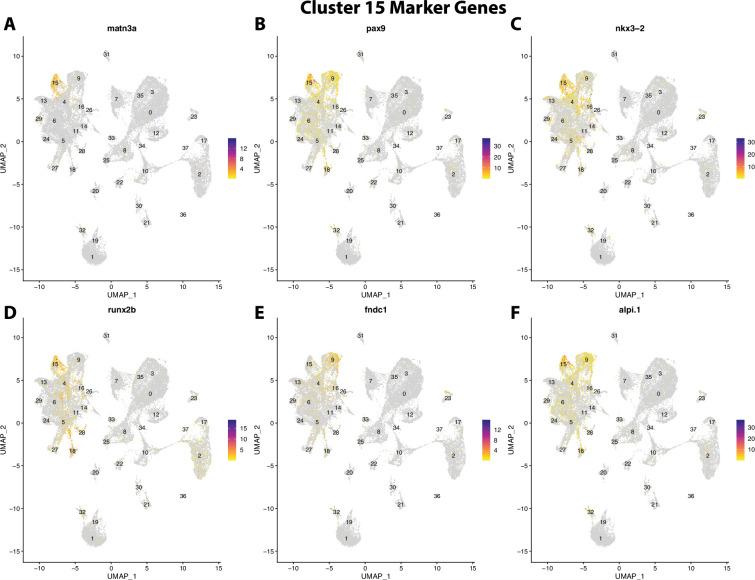 https://cdn.ncbi.nlm.nih.gov/pmc/blobs/19fb/11790252/42dd5f7beebb/elife-97764-fig2-figsupp36.jpg