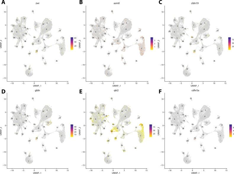 https://cdn.ncbi.nlm.nih.gov/pmc/blobs/19fb/11790252/504433ffe536/elife-97764-fig2-figsupp18.jpg