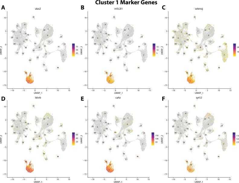 https://cdn.ncbi.nlm.nih.gov/pmc/blobs/19fb/11790252/54343480f2f6/elife-97764-fig2-figsupp23.jpg
