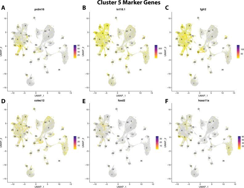 https://cdn.ncbi.nlm.nih.gov/pmc/blobs/19fb/11790252/5950376b8eca/elife-97764-fig2-figsupp27.jpg
