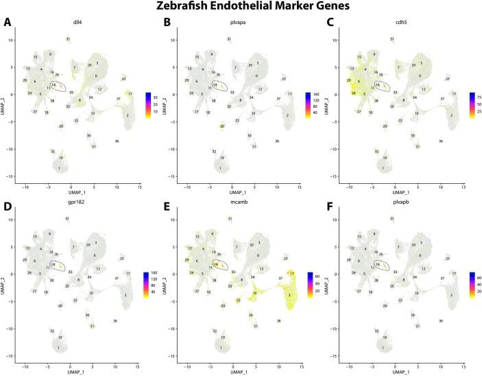 https://cdn.ncbi.nlm.nih.gov/pmc/blobs/19fb/11790252/6032bb9d6259/elife-97764-fig2-figsupp15.jpg