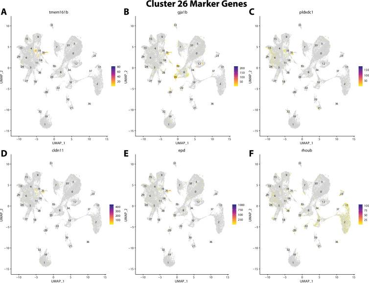https://cdn.ncbi.nlm.nih.gov/pmc/blobs/19fb/11790252/60b17095482b/elife-97764-fig2-figsupp47.jpg