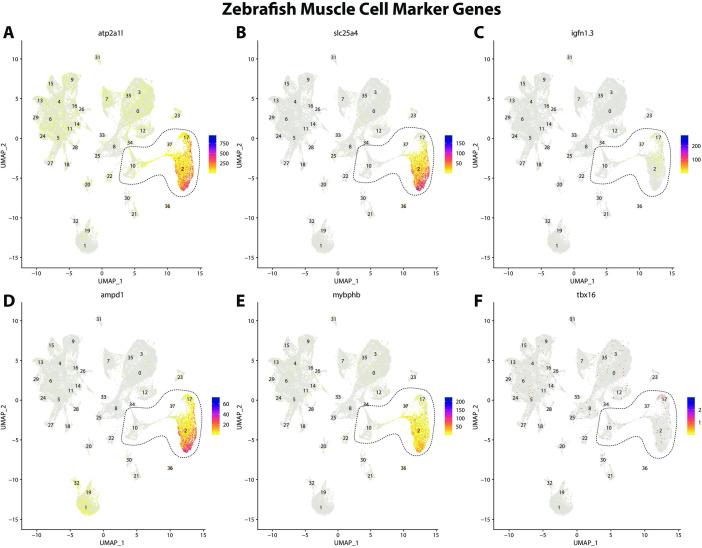 https://cdn.ncbi.nlm.nih.gov/pmc/blobs/19fb/11790252/6870168e9028/elife-97764-fig2-figsupp3.jpg