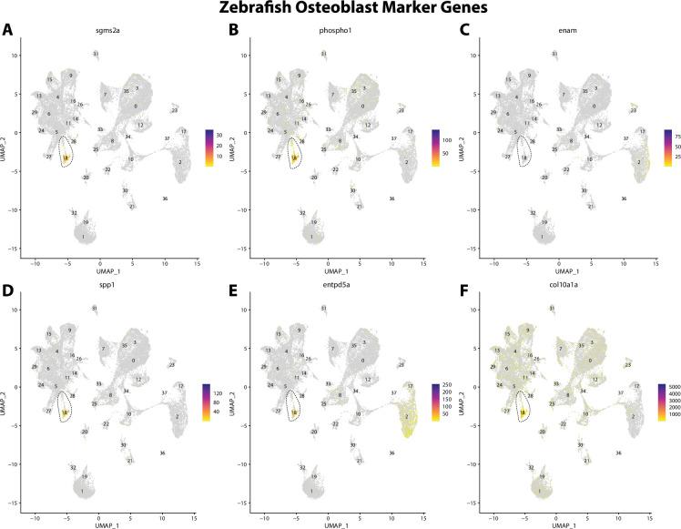 https://cdn.ncbi.nlm.nih.gov/pmc/blobs/19fb/11790252/7b37a77c20ec/elife-97764-fig2-figsupp9.jpg