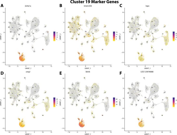 https://cdn.ncbi.nlm.nih.gov/pmc/blobs/19fb/11790252/7e25bb7cdd9d/elife-97764-fig2-figsupp40.jpg