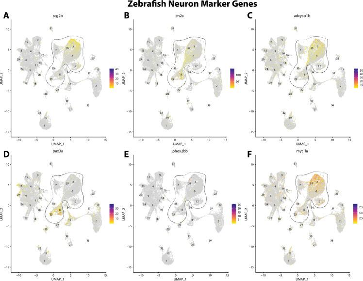 https://cdn.ncbi.nlm.nih.gov/pmc/blobs/19fb/11790252/85ae2196d688/elife-97764-fig2-figsupp7.jpg