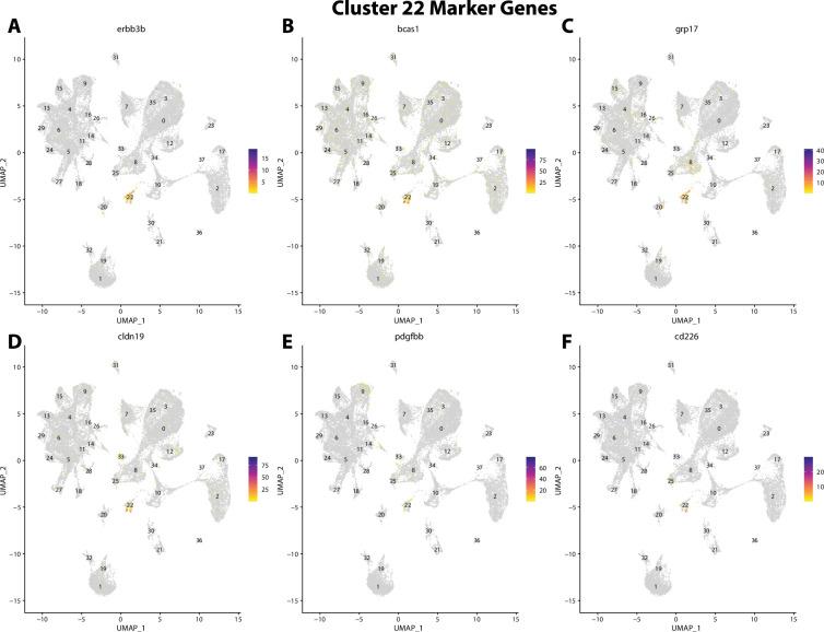 https://cdn.ncbi.nlm.nih.gov/pmc/blobs/19fb/11790252/895a7546999c/elife-97764-fig2-figsupp43.jpg