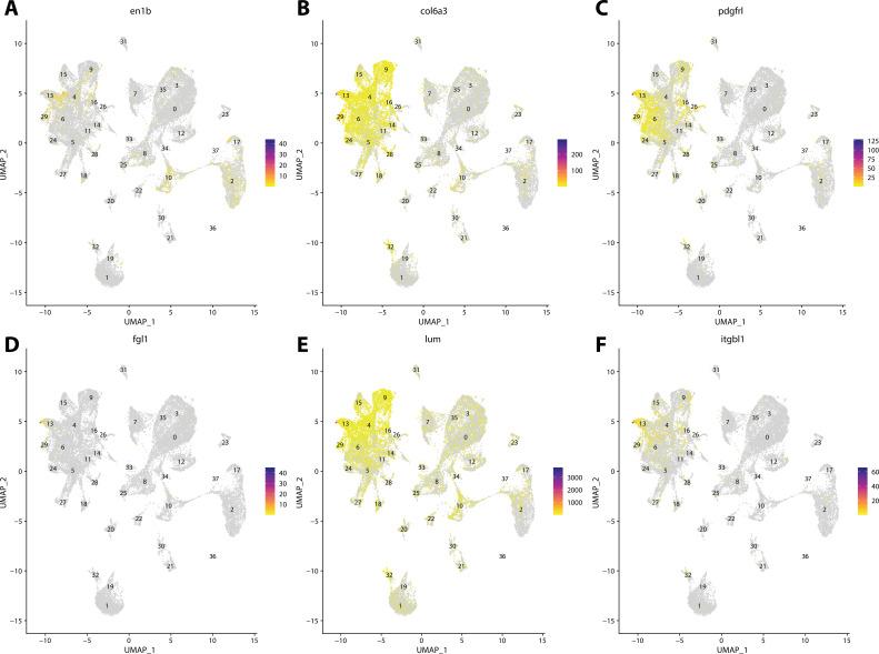 https://cdn.ncbi.nlm.nih.gov/pmc/blobs/19fb/11790252/8cd337fb5a8e/elife-97764-fig2-figsupp21.jpg