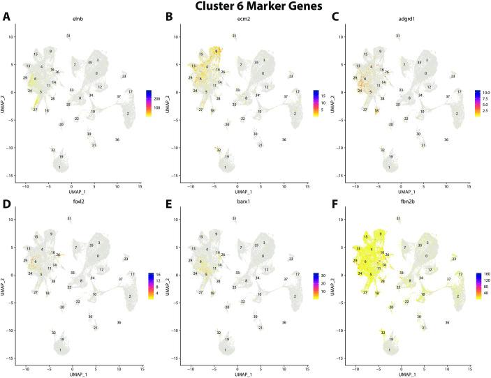 https://cdn.ncbi.nlm.nih.gov/pmc/blobs/19fb/11790252/8d9dcdac8723/elife-97764-fig2-figsupp28.jpg