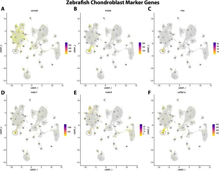 https://cdn.ncbi.nlm.nih.gov/pmc/blobs/19fb/11790252/95bea8acb6d6/elife-97764-fig2-figsupp8.jpg