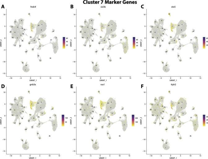 https://cdn.ncbi.nlm.nih.gov/pmc/blobs/19fb/11790252/9bf27c814f79/elife-97764-fig2-figsupp29.jpg