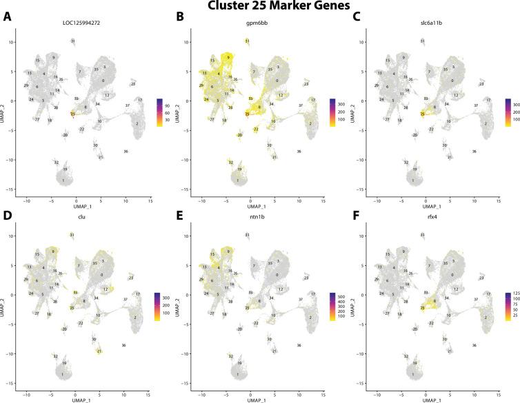 https://cdn.ncbi.nlm.nih.gov/pmc/blobs/19fb/11790252/b77b0cbcc8a1/elife-97764-fig2-figsupp46.jpg