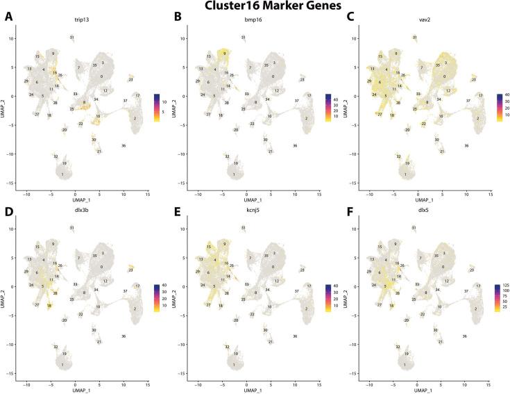 https://cdn.ncbi.nlm.nih.gov/pmc/blobs/19fb/11790252/cb9d1e934db6/elife-97764-fig2-figsupp37.jpg