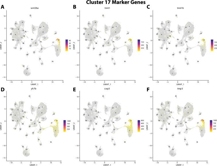 https://cdn.ncbi.nlm.nih.gov/pmc/blobs/19fb/11790252/cde8b80f8f1e/elife-97764-fig2-figsupp38.jpg
