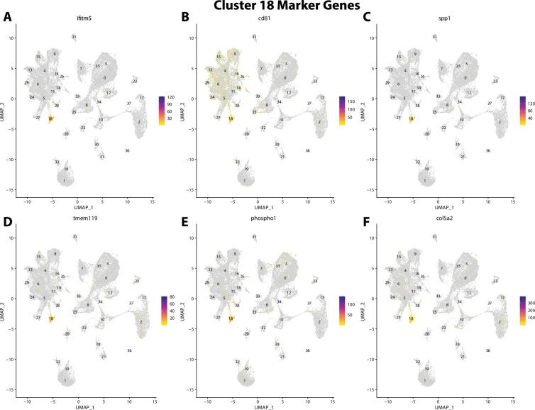 https://cdn.ncbi.nlm.nih.gov/pmc/blobs/19fb/11790252/d590ae7e3e1f/elife-97764-fig2-figsupp39.jpg